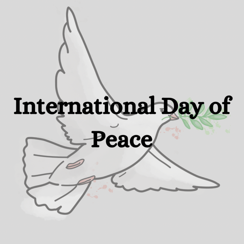 International Day of Peace Quotes